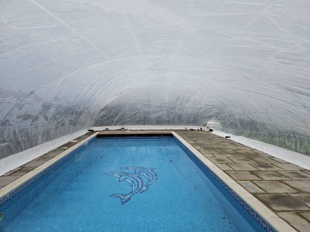 Interior view of an inflatable pool dome, revealing a clean, blue swimming pool with a dolphin mosaic, highlighting the enclosed, year-round swimming environment.