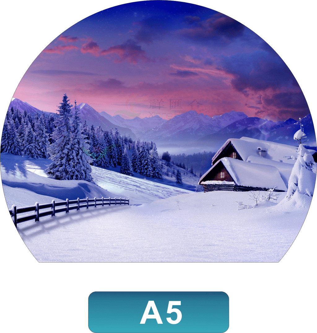 Birthday Party Inflatable Snow Globe Background Image Set 5 for Celebration Decor