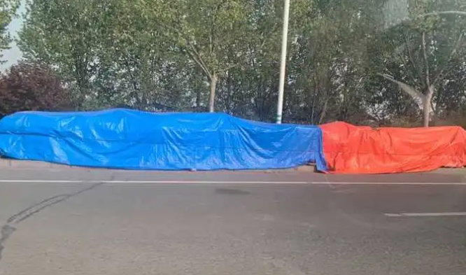 tarp cover