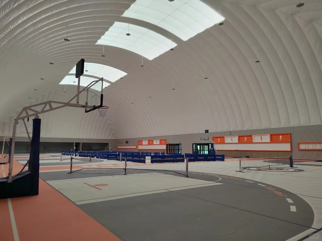 custom basketball dome