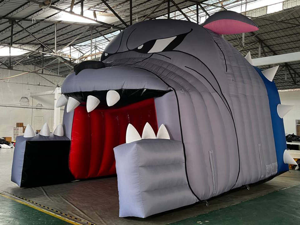 sports inflatable tunnel