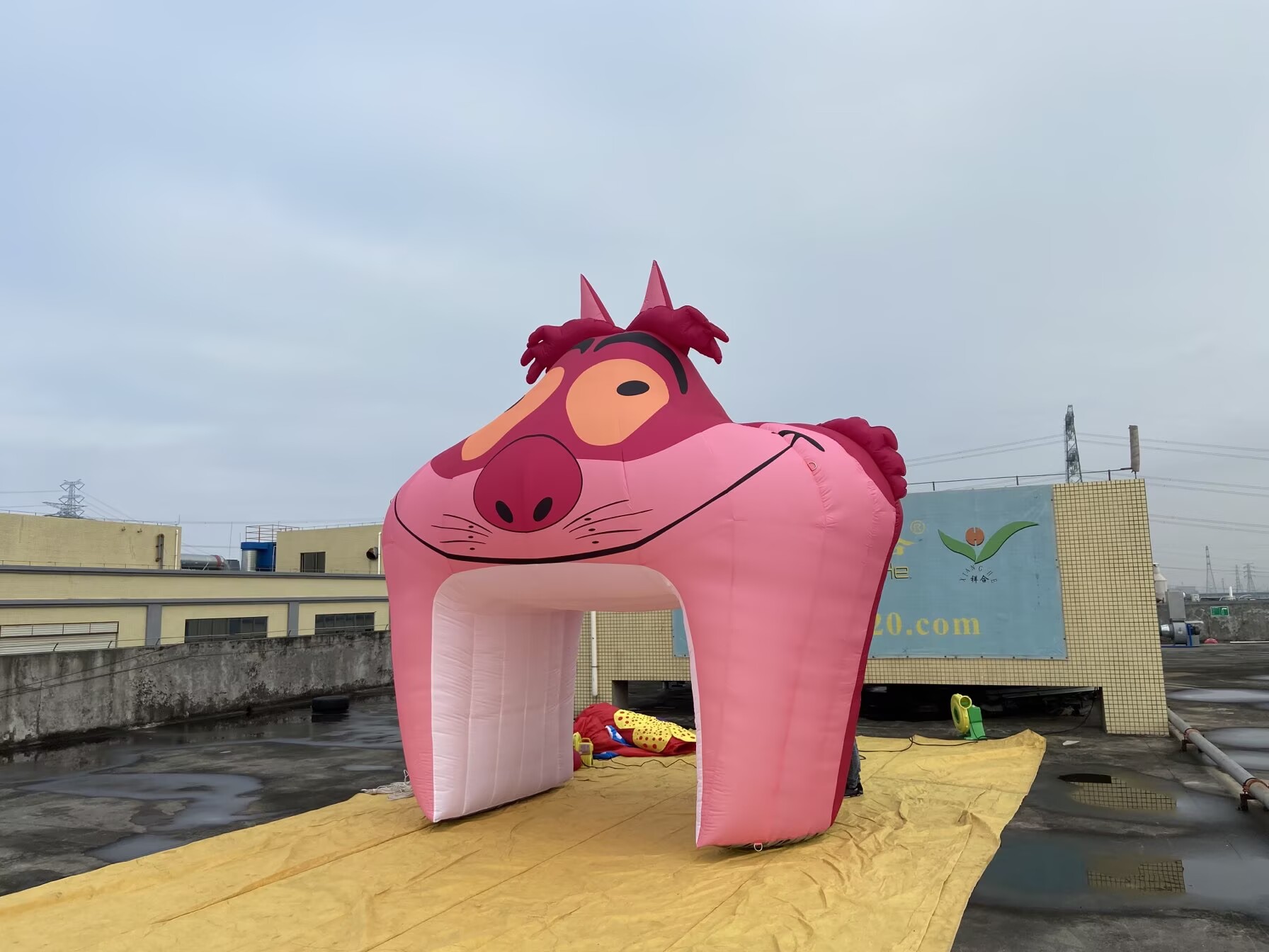 cartoon inflatable tunnel