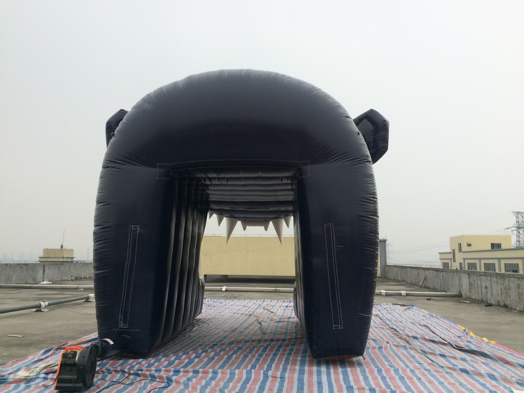 cartoon animal tunnel