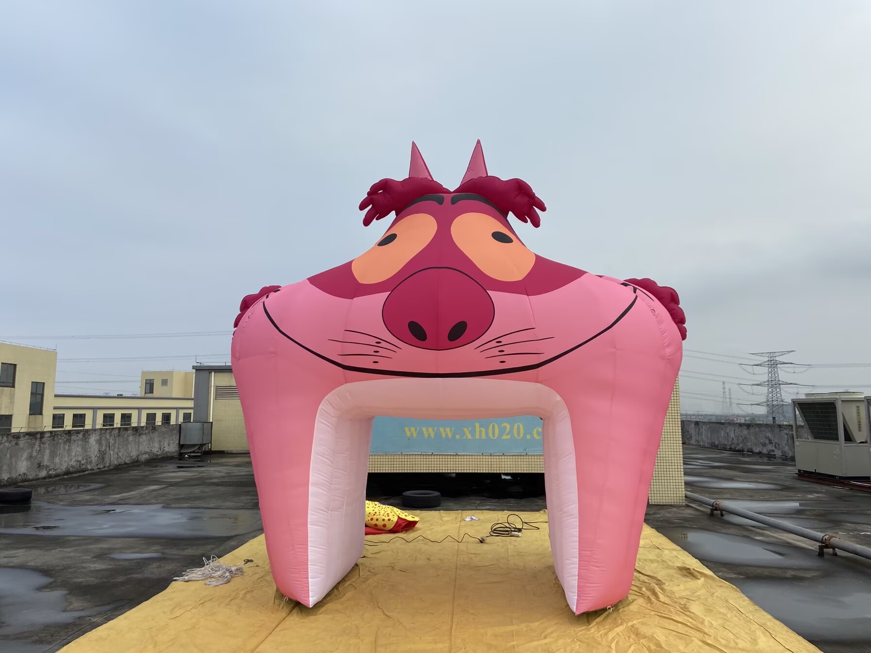 Pink Panther Tunnel Custom Cartoon Tunnel