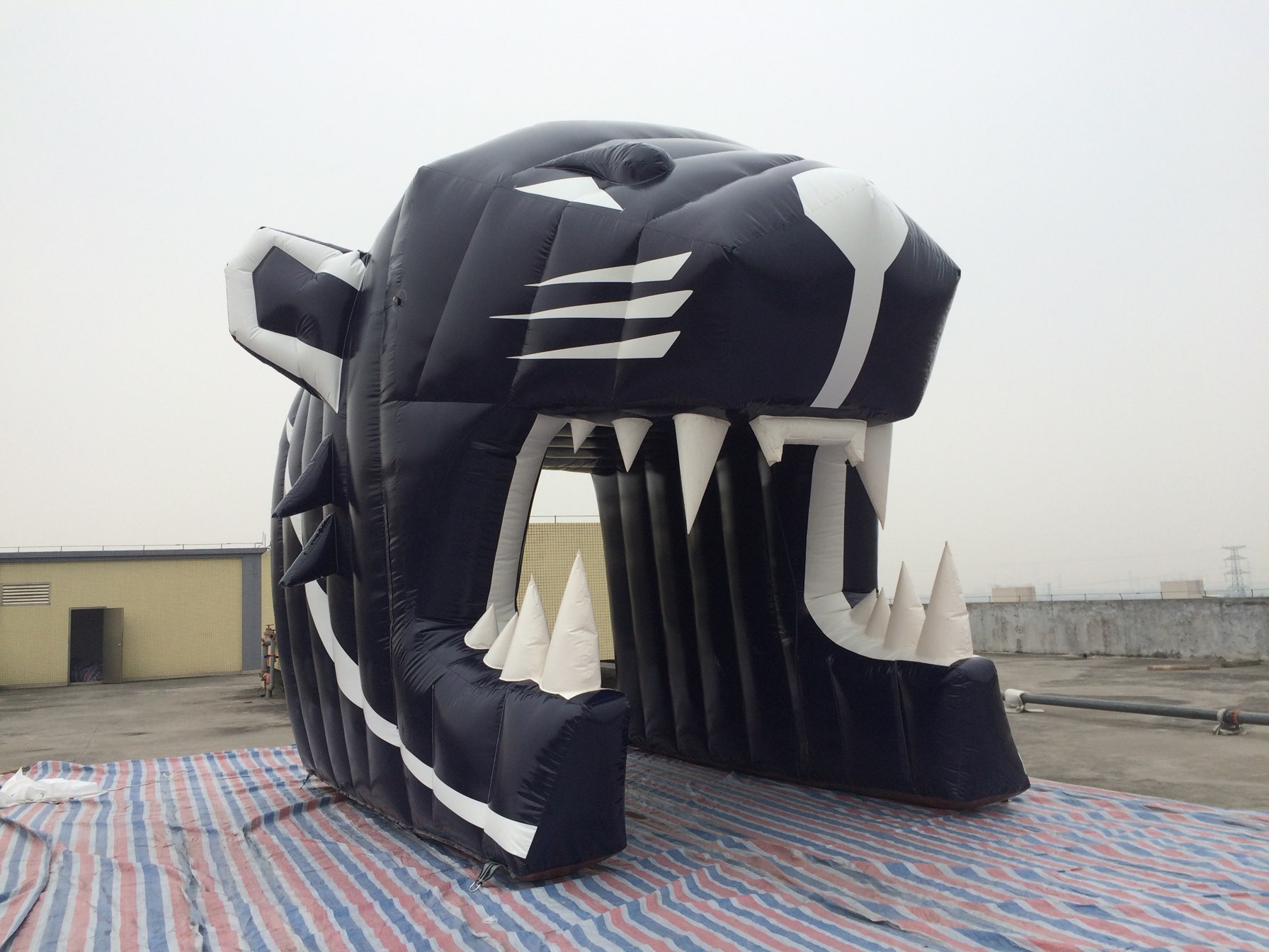 Carolina Panthers Inflatable Entry Tunnel